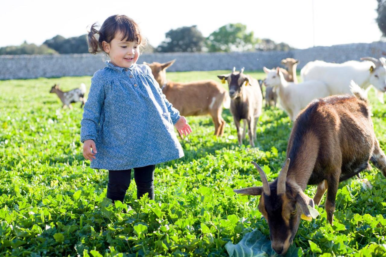 Llucmacanes Gran Agroturismo Mahón Екстериор снимка