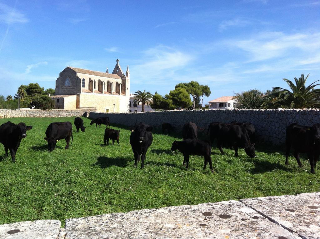 Llucmacanes Gran Agroturismo Mahón Екстериор снимка