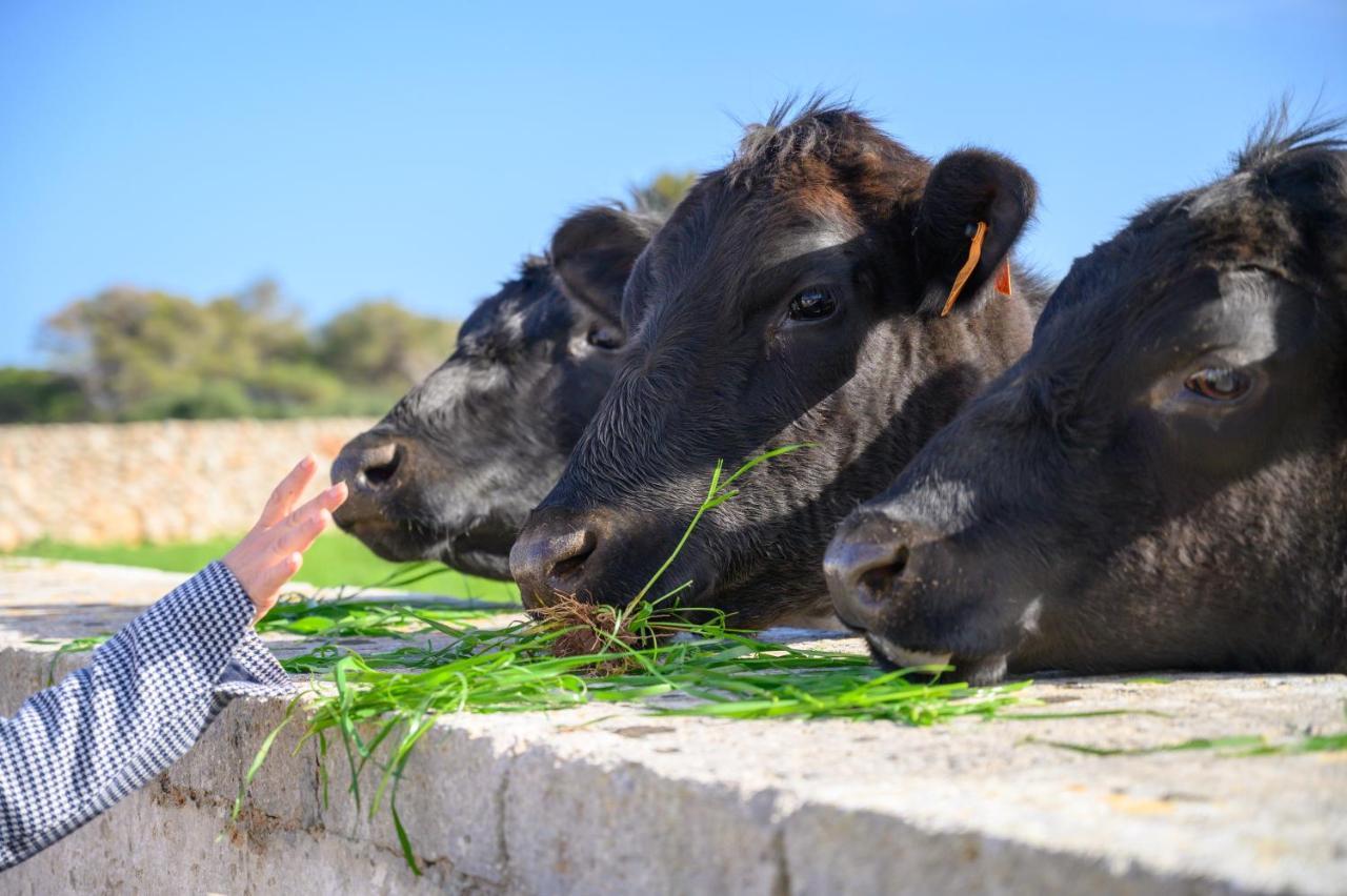 Llucmacanes Gran Agroturismo Mahón Екстериор снимка